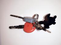 TURTLE KEY RINGS WITH KEYS